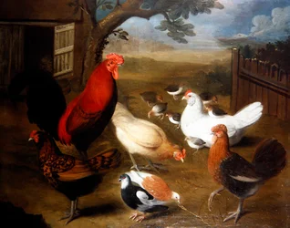 Escena de corral con un gallo