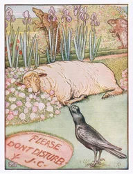 Y las ovejas se fueron a dormir, ilustración de 