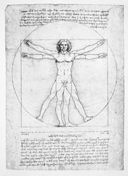 Las proporciones de la figura humana (después de Vitruvio), c.1492