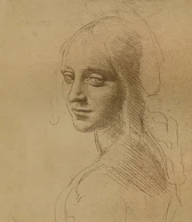 Una cabeza femenina, c1472-c1519