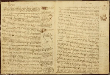 Una página del Códice Leicester, 1508-12