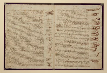 Una página del Códice Leicester, 1508-12