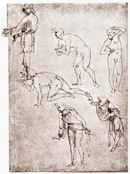 Adoración de los Pastores, c1478-1480