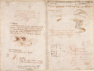 Arundel 263, f.278v, f.271 Notas sobre el sentido de la realidad en los sueños, sobre el agua y los ríos Sieve y Arno (al revés), de 