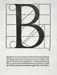 B, ilustración de 