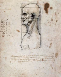 Busto de un hombre de perfil con medidas y notas