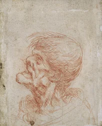 Estudio de cabeza caricaturesca de un anciano, c.1500-05
