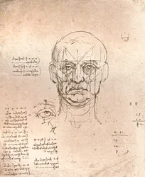 Dibujo que ilustra la teoría de las proporciones en la figura humana, c1472-c1519