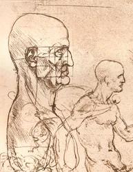 Dibujo que ilustra la teoría de las proporciones de la figura humana, c. 1472-c. 1519, 1883