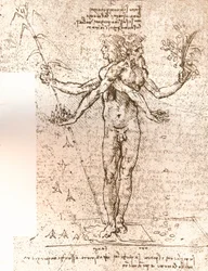 Dibujo de una composición alegórica, c. 1472-c. 1519 1883