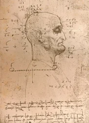 Dibujo de la cabeza de un criminal, c1472-c1519 1883