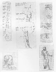 Cinco dibujos que ilustran la teoría de las proporciones de la figura humana