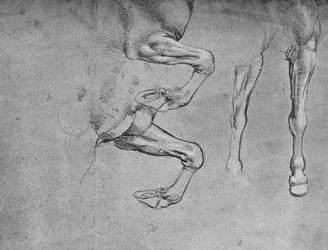 Cuatro estudios de patas de caballos, c1480