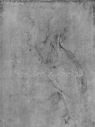 Cabeza y busto de un anciano a la izquierda, c1480 1945