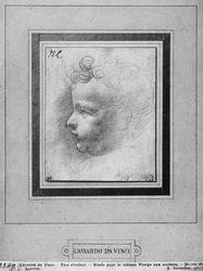 Cabeza de un niño