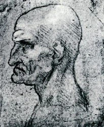 Cabeza de un anciano, 1913