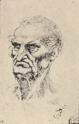 Cabeza de un Hombre Viejo Tres Cuartos a la Izquierda, c1480 1945
