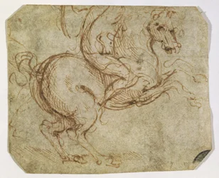 Caballo y caballero
