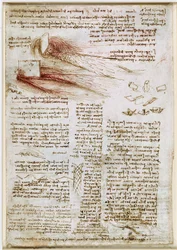 Leonardo da Vinci - RCIN 912660, Estudios sobre el agua c.1510-1512, 745082-1634741785