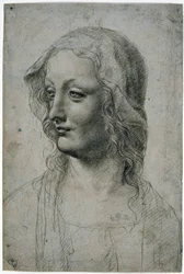 Maestro de la Pala Sforzesca (alumno milanés de Leonardo da Vinci), cabeza femenina con velo quizás un estudio para la Virgen, GDSU 426 E