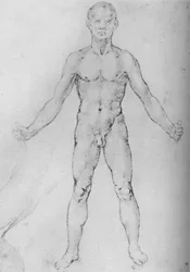 Hombre desnudo con los brazos extendidos, visto de frente, hacia 1480 1945