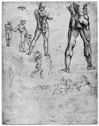 Estudios de desnudos para La batalla de Anghiari, c. 1503-1505 1954