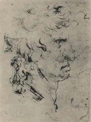 Perfil de un Hombre a la Derecha, c. 1480-1945