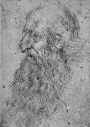 Perfil de un hombre viejo y barbudo a la izquierda, c1480 1945