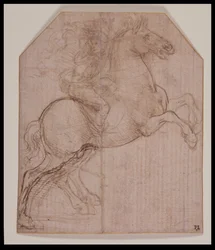 Jinete en Caballo Encabritado, c.1481-82