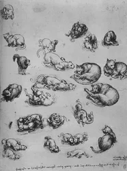 Estudios de gatos y de un dragón, c. 1480 1945