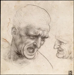 Estudio de dos cabezas de guerreros para la Batalla de Anghiari, 1504-05
