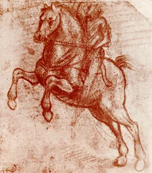 Estudio de un Caballero, por Leonardo Da Vinci, 1913