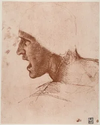 Estudio de cabeza masculina para la Batalla de Anghiari
