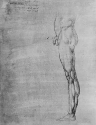 Estudio del cuerpo y la pierna de un hombre, c1480
