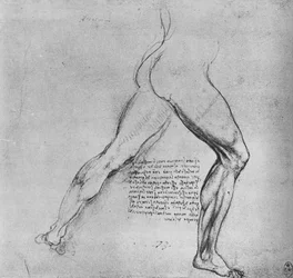 Estudio de las piernas de un hombre lanzándose a la derecha, c. 1480