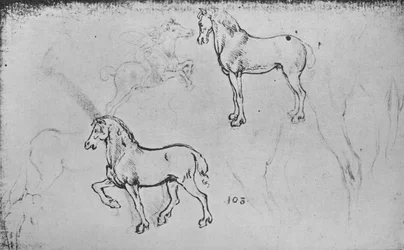 Dos estudios de caballos, uno de un jinete galopando y otros de patas de caballos, c. 1480