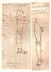 Dos dibujos que ilustran la teoría de las proporciones de la figura humana, c1472-c1519 1883
