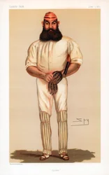 Críquet, 1877