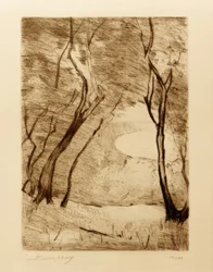 Árboles en la orilla del Grunewaldsee