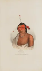 PE-A-JICK; Un Jefe Chippewa, de The Aboriginal Portfolio