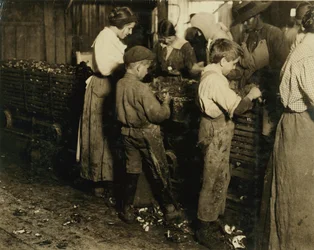 Jimmie de 10 años que ha estado pelando durante 3 años (6 potes al día) con un niño de 11 años que pela 7 potes en Varn und Platt Canning Co., Bluffton, Carolina del Sur, 1913
