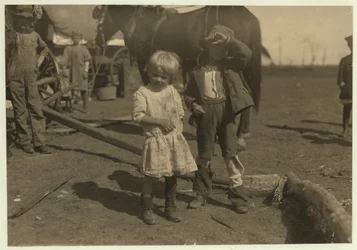 Recolector de algodón de 4 años que recoge 15 libras al día regularmente y de 7 años que recoge 50. Se mudan de granja en granja y viven en vagones de emigrantes, McKinney, Texas, 1913