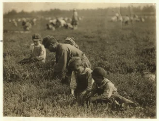 Jo Arnao 3, recogiendo arándanos con su hermano 6 y hermana 9 en Whites Bog, Browns Mills, Nueva Jersey, 1910