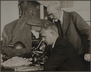 Investigación