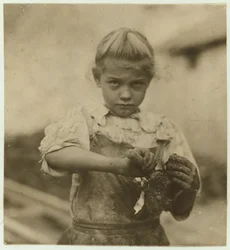 Rosie, de 7 años, analfabeta, trabajando por segundo año como desgranadora de ostras en Varn und Platt Canning Company, Bluffton, Carolina del Sur, 1913