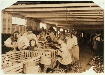 Rosy de 8 años trabaja 14 horas al día como desgranadora de ostras en Dunbar Cannery, Luisiana, 1911