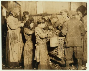 Desconchadores de unos 10 años abriendo ostras en la Compañía de Conservas Varn und Platt, Isla Younges, Carolina del Sur, 1913