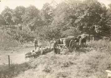 Sin título, ca. 1935