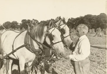 Sin título, ca. 1935
