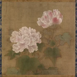 Rosas de algodón rojas y blancas